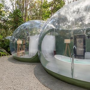 Bubble Suite Premium jungle view