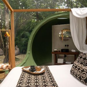 Bubble Suite jungle view